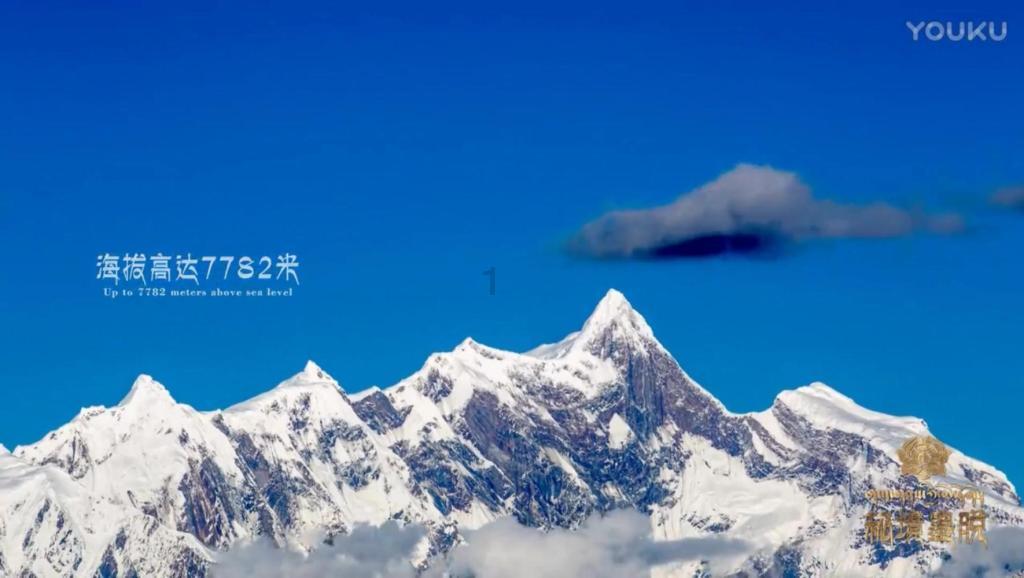 我小孩快两岁了在家很活波，在外面却一言不发很怕陌生游戏画面