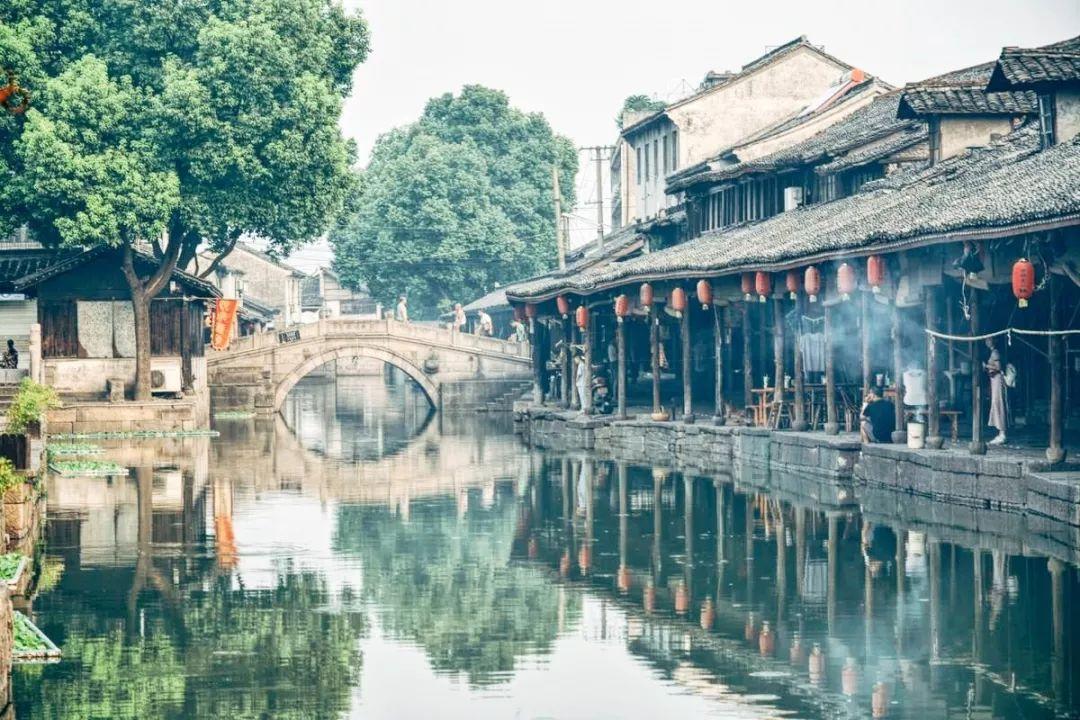 小猫钓鱼正版下载中文版